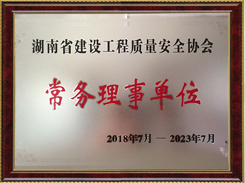 省建设工程质量安全协会常务理事单位证书