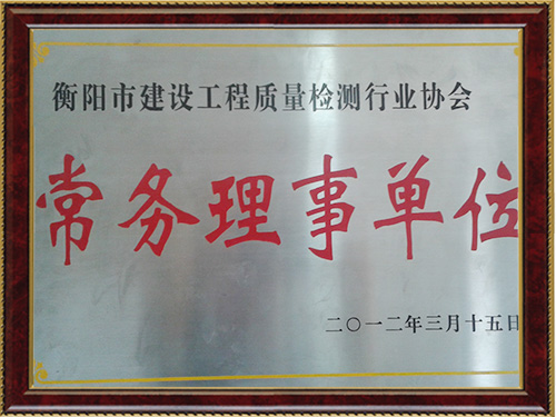 市建工检测协会常务理事单位证书