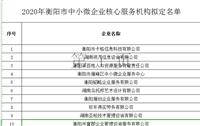 2020年衡阳市中小微企业核心服务机构拟定名单