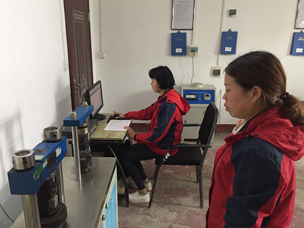 湖南亚柏技术管理咨询有限公司,衡阳房屋建设工程监测,结构安全性评估